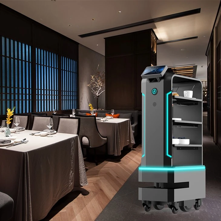 Lightning Food Delivery Robot best